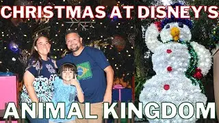 Are The Animal Kingdom Christmas Decorations The Most Beautiful? Come On And Check Them Out!