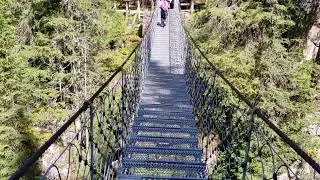 Ponte di Paneveggio - Sentiero Marci&oacute; - Escursioni per famiglie