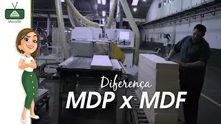 MDP x MDF