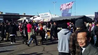 Hmong International New Year 2017, Hmoob Tsiab Peb Caug 2