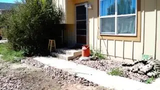 My ugly Yard