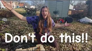 Why NOT digging your garden may produce better results!