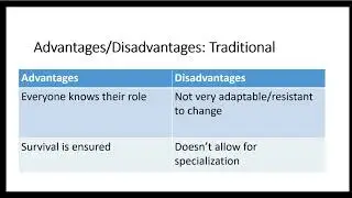 Economics Systems: Fundamentals, Traditional, and Command