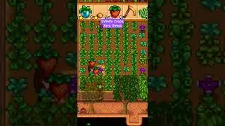 Infinite Crops Zero Stress #stardewshorts #stardewvalley #stardew #stardewtips