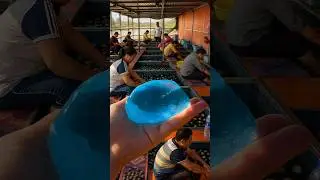 How Hetian Jade Is Picked In China? By Shiksha SQUARE