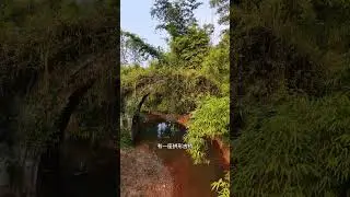 #古桥#古驿道#牟家镇#家乡古迹#周边游 #牟家镇