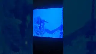 Efya performance At Vgma 2024