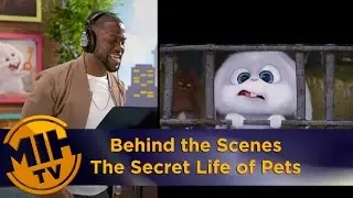 The Secret Life of Pets - Behind the scenes