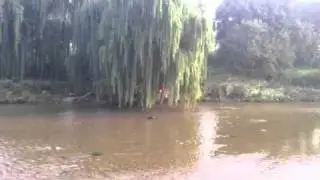 Another day in Africa