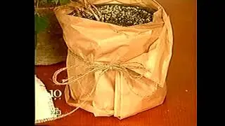 Квартирный вопрос (04.10.2003) Тропический бум (не полностью)