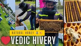 Natural honey 🍯🐝 || Bengaluru Vedic hivery pure honey 🐝|| Riderloki telugu vlogs#riderloki007#rider