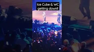 420 West concert Ice Cube
