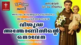 🔴LIVE  | 17 Jan 2026 | Miraculous Novena to St. Anthony | അതിശക്തമായ വിശുദ്ധ അന്തോണിയോടുള്ള നൊവേന