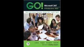 Microsoft Excel 3A Simulation