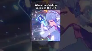 WHEN THE SHIELDER BECOMES THE DPS