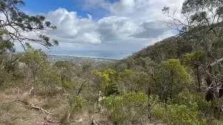 Two Bays Walking Track / Arthurs Seats / Wattle Blossom / Australian National Flower / Melbourne