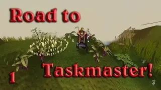 Road to Taskmaster! - Episode 1