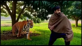Tiger attack man in the forest | Elephant attack jungle in Boys | | Elephant attack