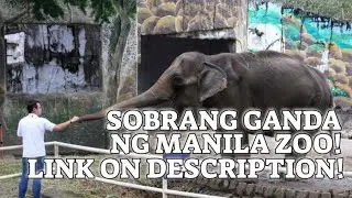 Manila Zoo,  Mali The Elephant passes away! Officially Open For Public!