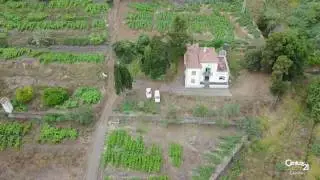 Hacienda Montijos - La Orotava