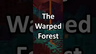 Which Minecraft Biome is the Best? Part 9: The Warped Forest #shorts #minecraftshorts #minecraft