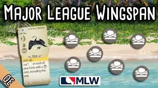 Major League Wingspan | The not-so-Little Pied Cormorant!