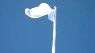International Day of Peace