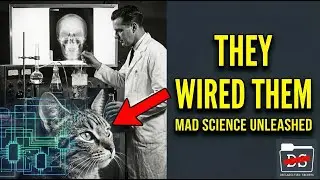 How the CIA tried to cover records of behavioral modification