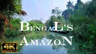 AMAZON IN BENGAL In 4K  || Chupi Bird Sanctuary || PURBASTHALI PAKHIRALAY  || বাংলার আমাজন ||