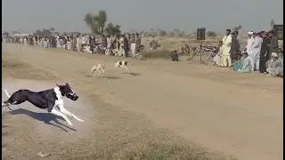 Salana Sheran wala track race Jaman shah Distract Layyah 2021 Part 3