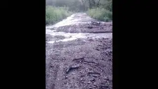 U nevremenu o&scaron;tećeni putevi u selima op&scaron;tine Brus, D.Lipovac 10.06.2020.