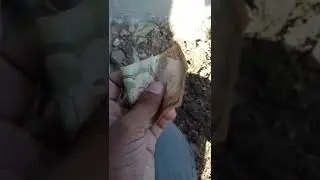 Plastic money 😲😃