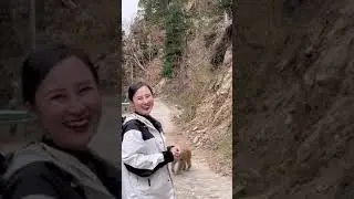 AAAAATình mẫu tử và câu chuyện gặp đàn khỉ rừng trên đường đi… #kieutravel #traveltiktok #dulichtrun