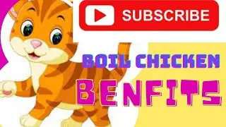 Boil chicken and it's benefits for cats
