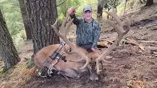 Red Stag // Bow Hunting // Camo Dust // New Zealand // Hunting // Hunting Season // Dream Hunt
