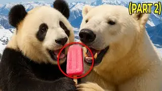 Cute Panda and Polar Bear Share a Sweet Snack 🐼😪(PART 2)