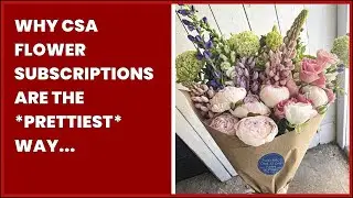 WHY CSA FLOWER SUBSCRIPTIONS ARE THE *PRETTIEST* WAY TO SUPPORT FARMERS