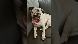 I have to much karmas