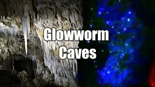 New Zealands Magical Glowworm Caves - Waitomo & Ruakuri! | Wild & Cosy