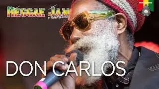 Don Carlos Live at Reggae Jam 2017