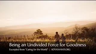 Being an Undivided Force for Goodness (Excerpt)
