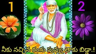 నీకు నచ్చిన రంగు తాకు బిడ్డ గొప్ప శుభవార్త అందుకో ♥️