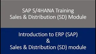 Видео 01 &mdash; Обучение модулю SAP S/4HANA Sales & Distribution (SD) &mdash; Введение в модуль SAP и SD.