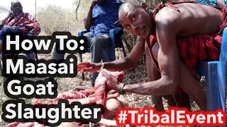 How to: Tanzania Maasai goat slaughter. Visit Maasai boma, bush living [Third world adventure]