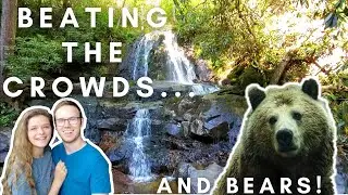 VERY POPULAR SMOKY MOUNTAINS WATERFALL HIKE | LAUREL FALLS