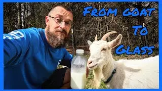 From Goat to Glass: Another step in self-sufficient living!