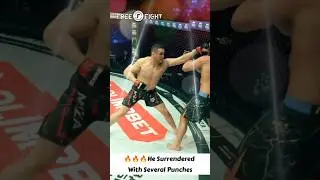 Он сдался после нескольких ударов #mma #ufc