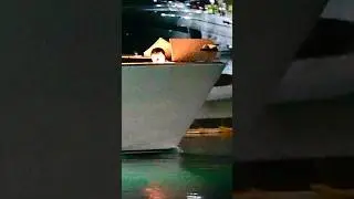 Jacht Wajer 77 o wartości 7 milion&oacute;w dolar&oacute;w cumujący w ekskluzywnej marinie Bal Harbour.
