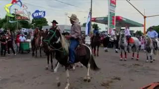 Santo Patrono en las FIestas de Granada. Parte 01