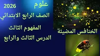 جمال الخنافس المضيئة علوم الصف الرابع الابتدائي المفهوم الثالث الدرس الثالث والرابع 2026